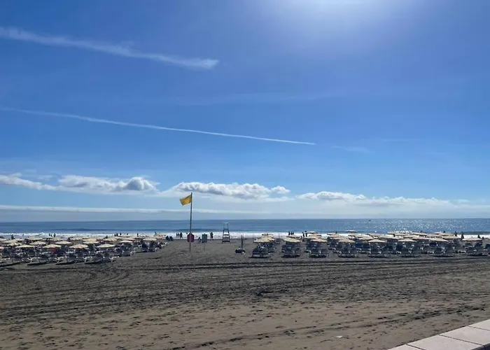 Soleado Y Tranquilo アパート マスパロマス